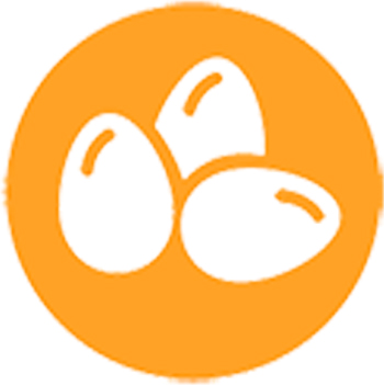 Huevos huevos